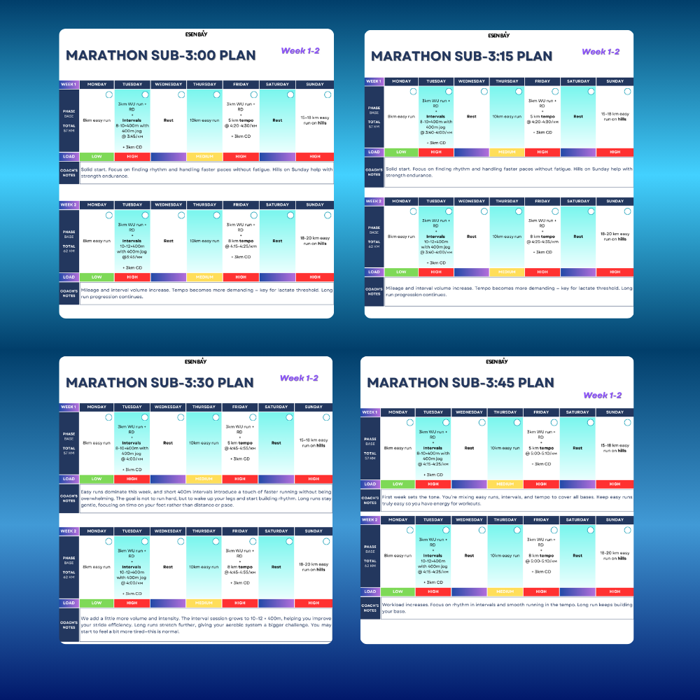 All Marathon Sub Plans Bundle (SAVE 50%)